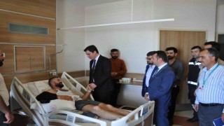 Kars'taki feci kazada "şoför uyudu" iddiası