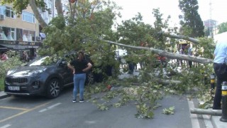 Kartalda ağaç devrildi, aracın camı patladı