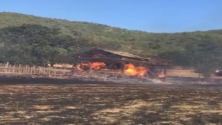 Kastamonuda bir ev ve üç samanlık yangında küle döndü