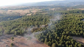 Kastamonuda orman yangını kontrol altına alındı