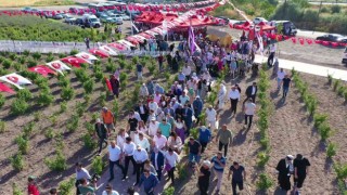 Keçiörende Lavanta ve Gül Bahçesinde hasat yapıldı