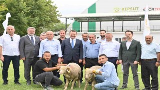 Kepsutta 85 üreticiye 585 küçükbaş desteği