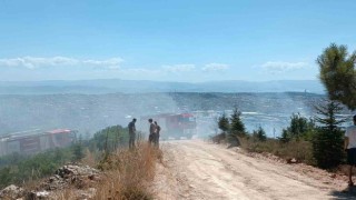 Kocaelide ağaçlık alanda çıkan yangında kundaklama iddiası