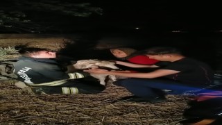 Konyada 12 metrelik kuyuya düşen keçiyi itfaiye kurtardı