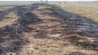 Konyada kopan elektrik telleri tarlada yangın çıkardı