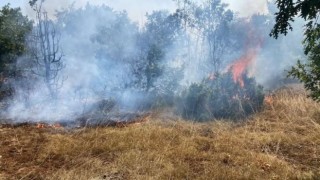 Kütahyadaki orman yangını kısmen kontrol altına alındı