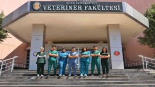 Kuzey Iraktan 14 veteriner hekim adayı Diyarbakırda staj yapacak