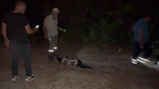 Leylekler için köylerde elektrikler kesildi