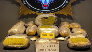 Malatyada bir haftada 58 kilo 343 gram skunk ele geçirildi