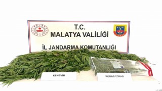 Malatyada Jandarmadan uyuşturucu operasyonu