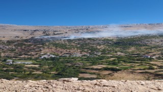 Malatyada orman yangını, 1 yaralı
