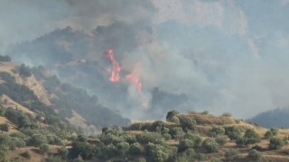 Manisada orman yangını havadan ve karadan müdahaleyle söndürüldü