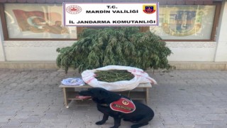 Mardinde 4 buçuk kilo kubar esrar ele geçirildi