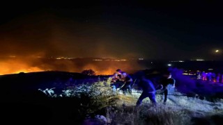 Marmara Adasındaki yangın kontrol altına alındı