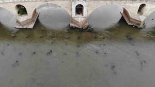 Meriç Nehrini kuraklık vurdu: Tarihi ahşap köprünün ayakları gün yüzüne çıktı
