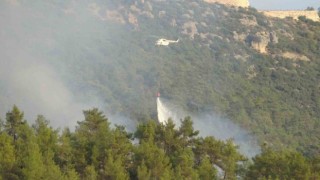 Mersinde dünyaca ünlü vadide çıkan orman yangını söndürüldü
