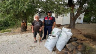 Hırsızlar Mersin'de bunu da yaptı: Keçiboynuzu çaldılar