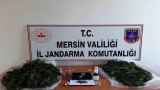 Mersinde uyuşturucu operasyonu: 2 gözaltı