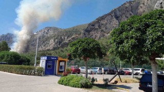 Milasta orman yangını