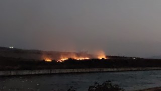 Mısır hasadının başlanmasıyla anız yangınları da başladı