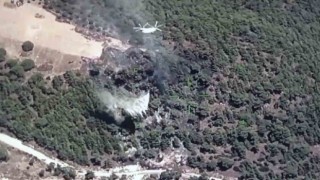Muğla-Aydın sınırında yangın