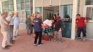 Muhtar, koyunların bahçeye girmesinden dolayı tartıştığı genci silahla yaraladı