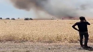 Muşta 300 dönüm ekili alan yandı