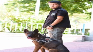 Narkotiğin Odini uyuşturucu tacirlerine göz açtırmıyor