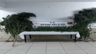 Nazillide uyuşturucu operasyonu