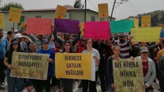 Önce Akbelen şimdide Dikmece: İmza kampanyası başlatıldı