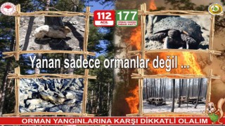 Orman yangınlarına karşı vatandaşlar uyarıldı
