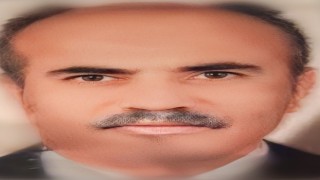 Ormanda kestiği ağaç üzerine devrilen işçi hayatını kaybetti