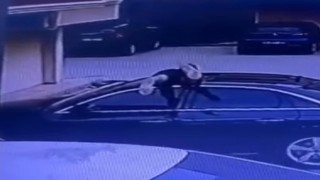 Örümcek adam gibi oto faresi...Sunrooftan girip çaldı