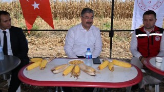 Osmaniye Valisi Dr. Erdinç Yılmaz, Yeniköy Köyünde Mısır Hasadına Katıldı