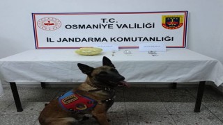 Osmaniye'de Jandarmadan Uyuşturucu Operasyonu