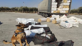 Osmaniye'de tırda 172 kilo sentetik uyuşturucu ele geçirildi