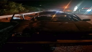 Otomobil yola fırlayan katıra çarptı: 2 yaralı