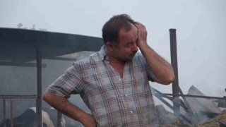 Çanakkale'deki orman yangını emeklerini küle çevirdi
