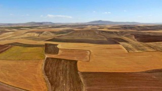 Parti sevgisini dağlara kazıdı