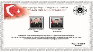 Pençe-Kilit bölgesinde 2 asker şehit oldu