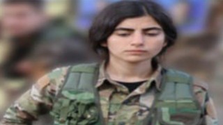 PKK'nın sözde sorumlusuna Mit'ten operasyon