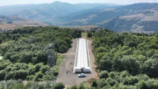Proteonun yasaklı misafirleri