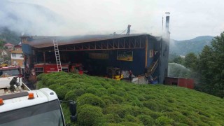 Rizede çay fabrikasında yangın çıktı