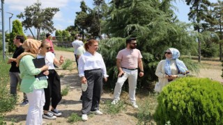 Safranboluya yeni bir yaşam alanı kazandırılıyor