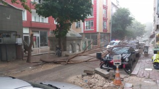 Sağanak yağış yolları göle çevirdi, ağaçları devirdi