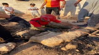 Şanlıurfada itfaiye ekipleri kuyuya düşen kedi için seferber oldu
