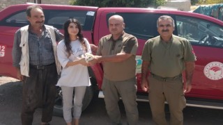 Şanlıurfada yaralı bulunan peçeli baykuş tedavi altına alındı