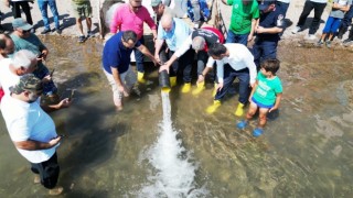 Sapanca Gölüne 100 bin balık salındı