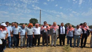 Selendi 3. Ovacık Şenlikleri renkli görüntülere sahne oldu