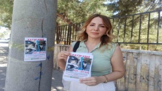 Kaybolan kedisi için sokak sokak geziyor